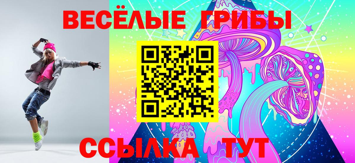 Псилоцибиновые грибы GOLDEN TEACHER  Псилоцибиновые грибы MAGIC MUSHROOMS  Вход с VPN  Гуково 