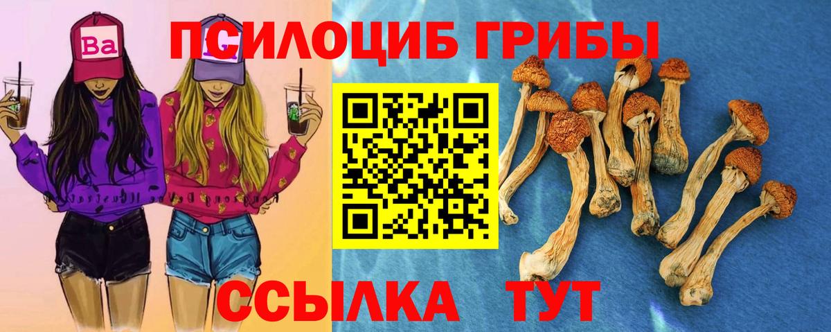 Галлюциногенные грибы мицелий Гуково